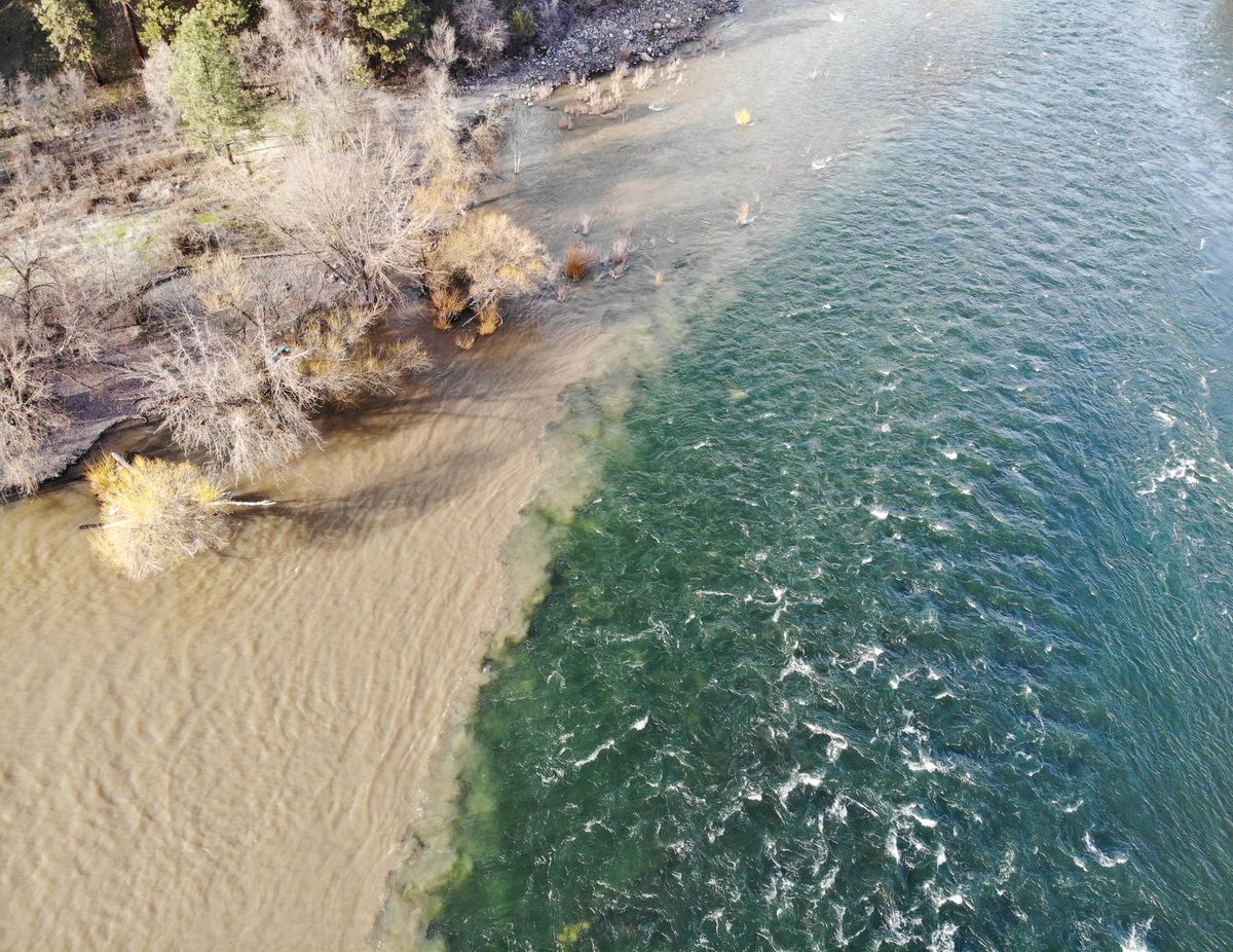 The brown, turgid waters of Hangman Creek meets the Spokane River on April 2, 2019. (Eli Francovich / The Spokesman-Review)