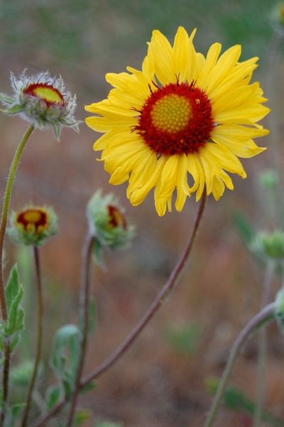  (Craig Goodwin / The Spokesman-Review)