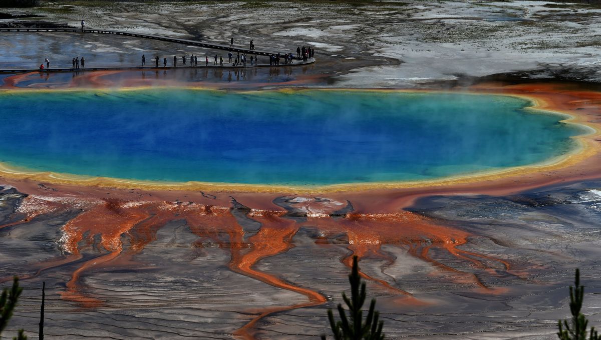 Yellowstone National Park in Wyoming. This year will have five free days when admission is waived for every park, including Yellowstone, that usually requires payment.  (Jonathan Newton/Washington Post)