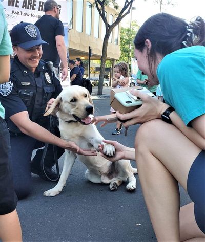 Ragnar and his handler, Corporal Ryan Snyder, greet fans at the Moscow Police Department’s National Night Out in downtown Moscow on Aug. 2.  (Linda Weiford/For The Spokesman Review)