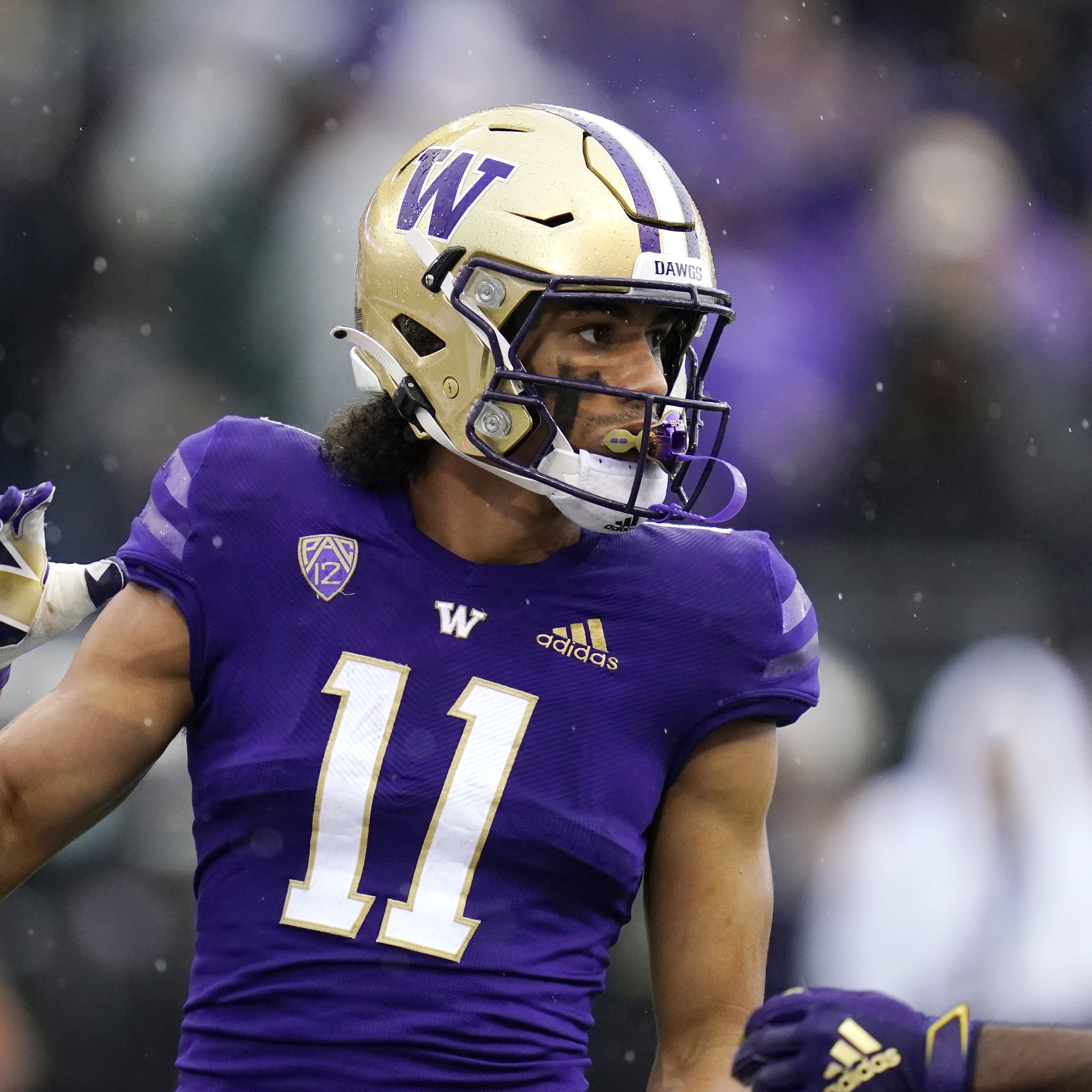 Game Preview: Washington at Washington State - UW Dawg Pound