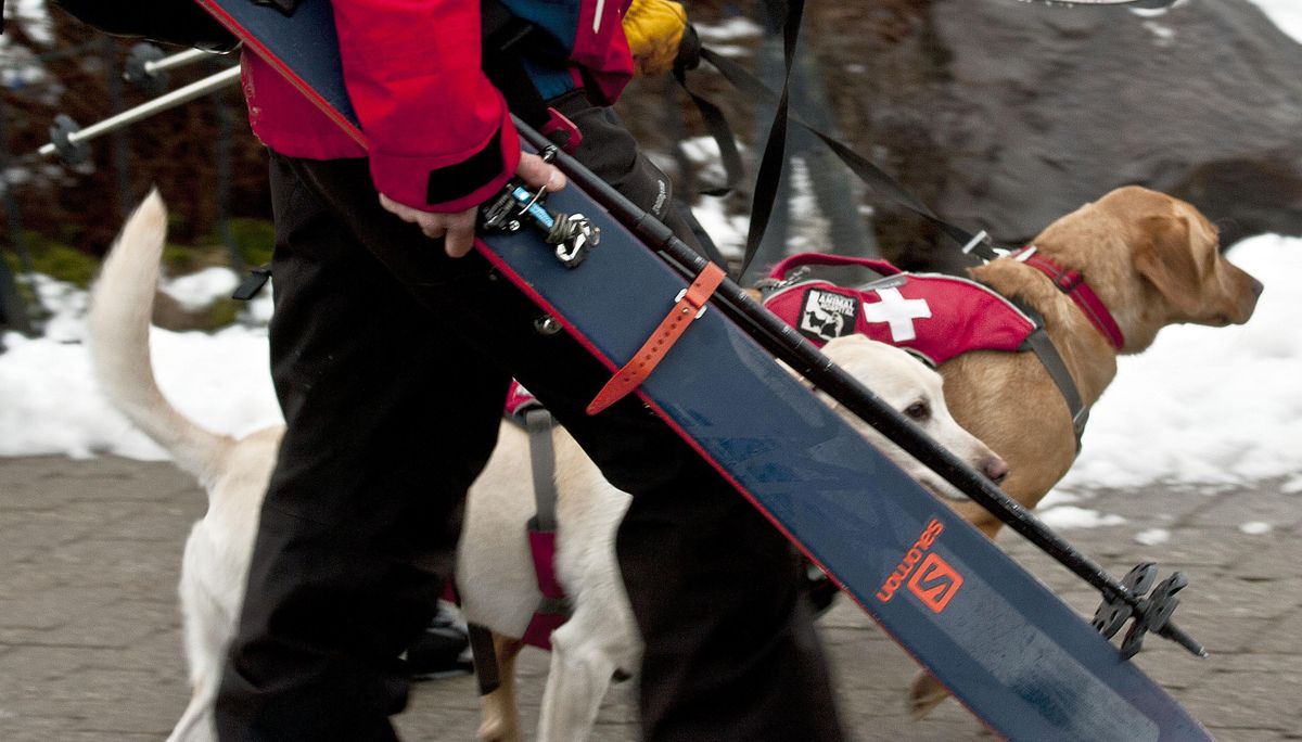 Search and rescue dogs arrive at Silver Mountain in Kellogg after an avalanche claimed the lives of two people on Tuesday, Jan. 7, 2020. (Kathy Plonka / The Spokesman-Review)