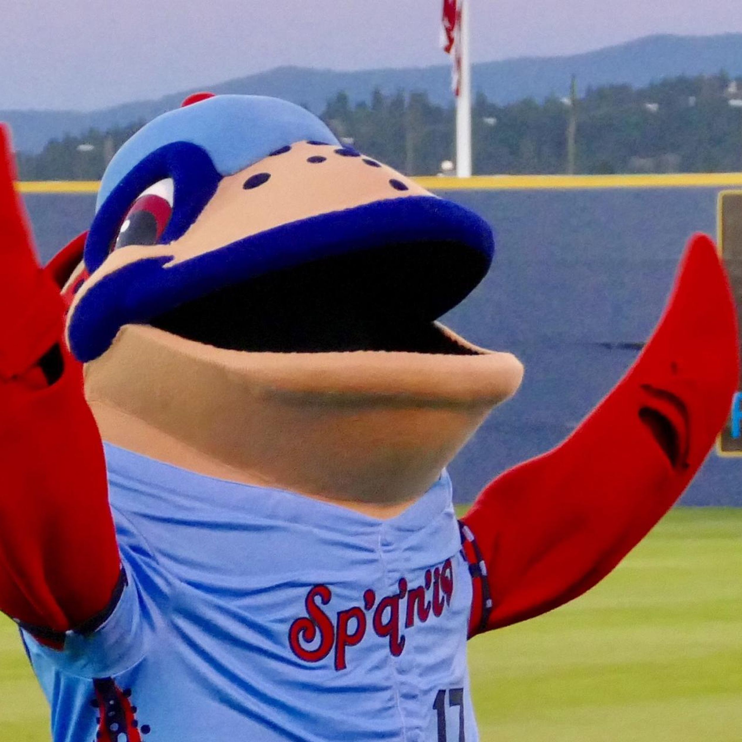 Trout native to the Inland Northwest inspires Spokane Indians' new
