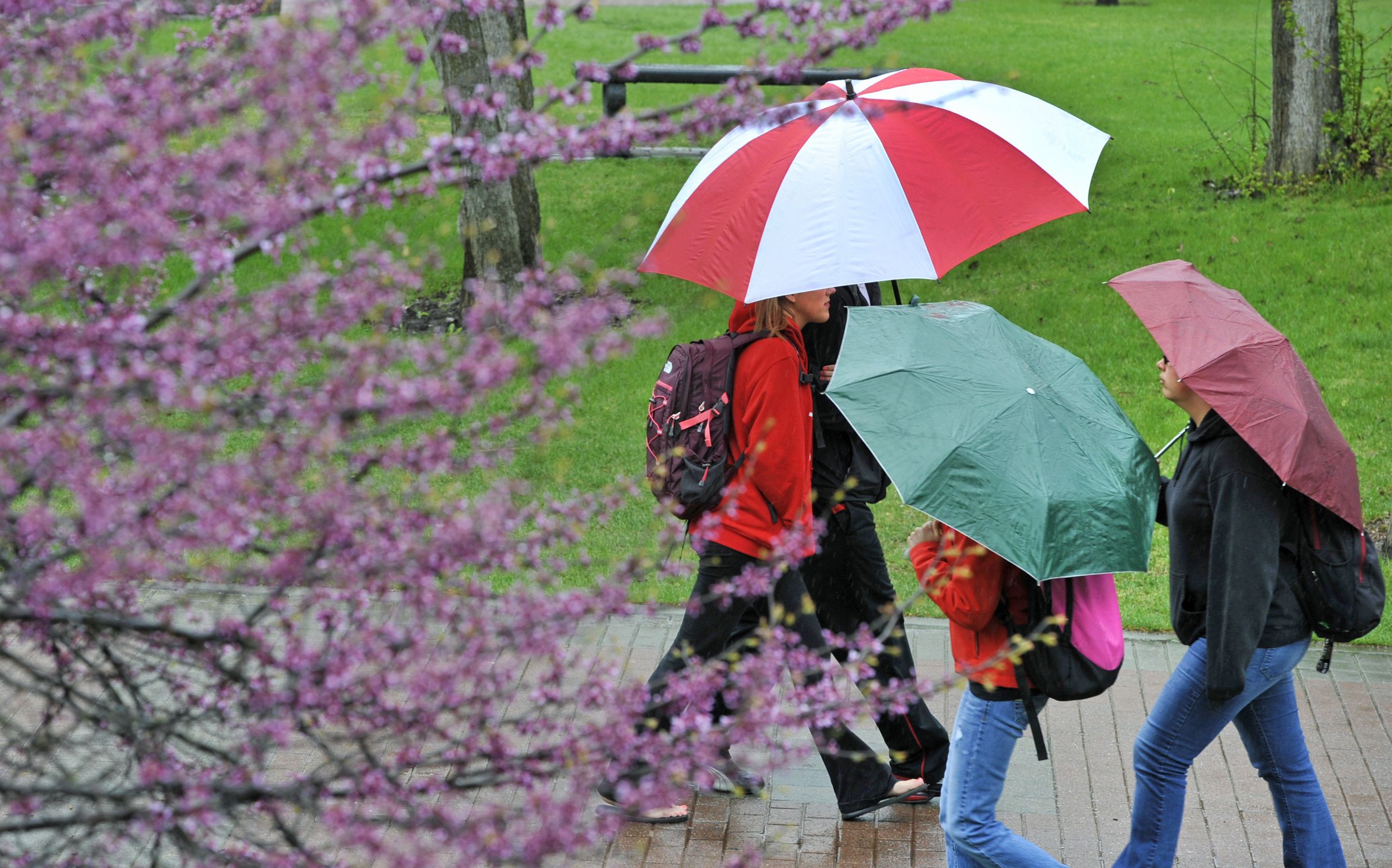 Photo: Spring palette | The Spokesman-Review