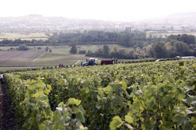 
Wine growers work in fields near Epernay, eastern France, in August.  Associated Press
 (File Associated Press / The Spokesman-Review)