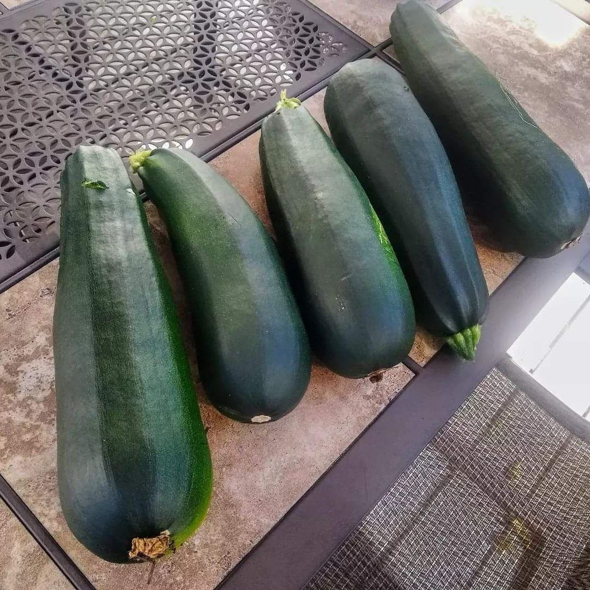 Zucchini formerly deemed too small.  (Cindy Hval For The Spokesman-Review)