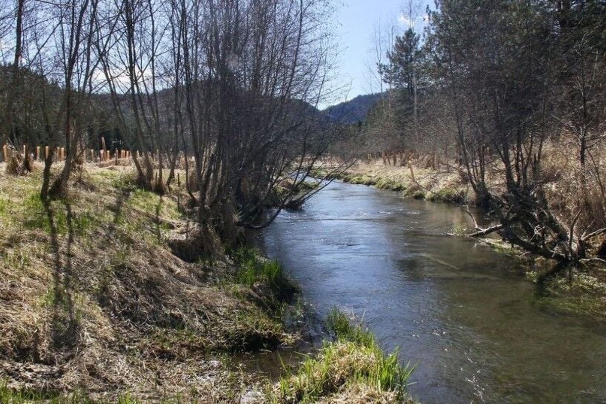 Gary Verbrugge plans to donate 885 acres near Newport, Wash., to the Kalispel Tribe through a conservation easement.  (Courtesy of Cara Carlton)
