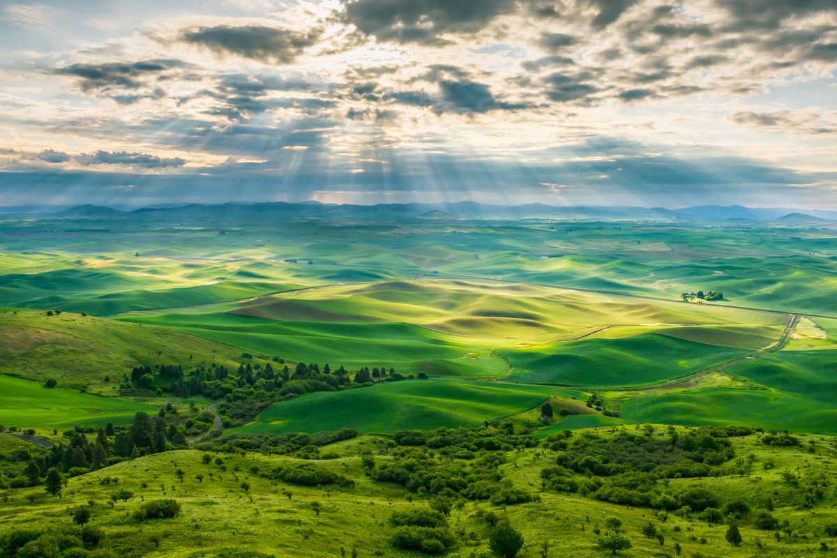 The sun beams down on the Palouse in this image captured by Craig Goodwin at Steptoe Butte.  (Craig Goodwin)