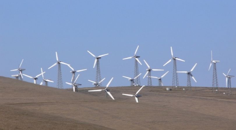 Wind farms such as the one shown above at Altamont Pass in California are killing hundreds of thousands of birds each year, according to the American Bird Conservancy. Wind turbines -- depending on their size, location and speed of the blades -- have been identified as a lethal threat to birds and bats. (Photo: Mike Parr / American Bird Conservancy)