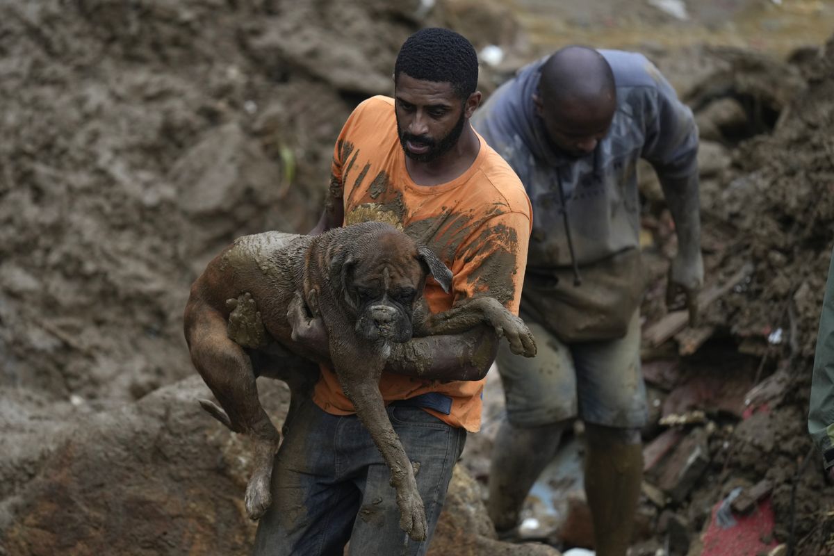 FILE - A man carries a dog rescued from a residential area destroyed by landslides in Petropolis, Brazil, Feb. 16, 2022. Scientists have long been warning that extreme weather would cause calamity in the future. But in Latin America — which in just the last month has had deadly landslides in Brazil, wildfires in the Argentine wetlands and flooding in the Amazon so severe that it ruined harvests — that future is here already.   (Silvia Izquierdo)