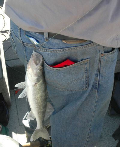 A walleye hangs unceremoniously from the seat of Mark Henckel’s pants – certainly the catch of the day. (Courtesy of Mark Henckel / The Spokesman-Review)