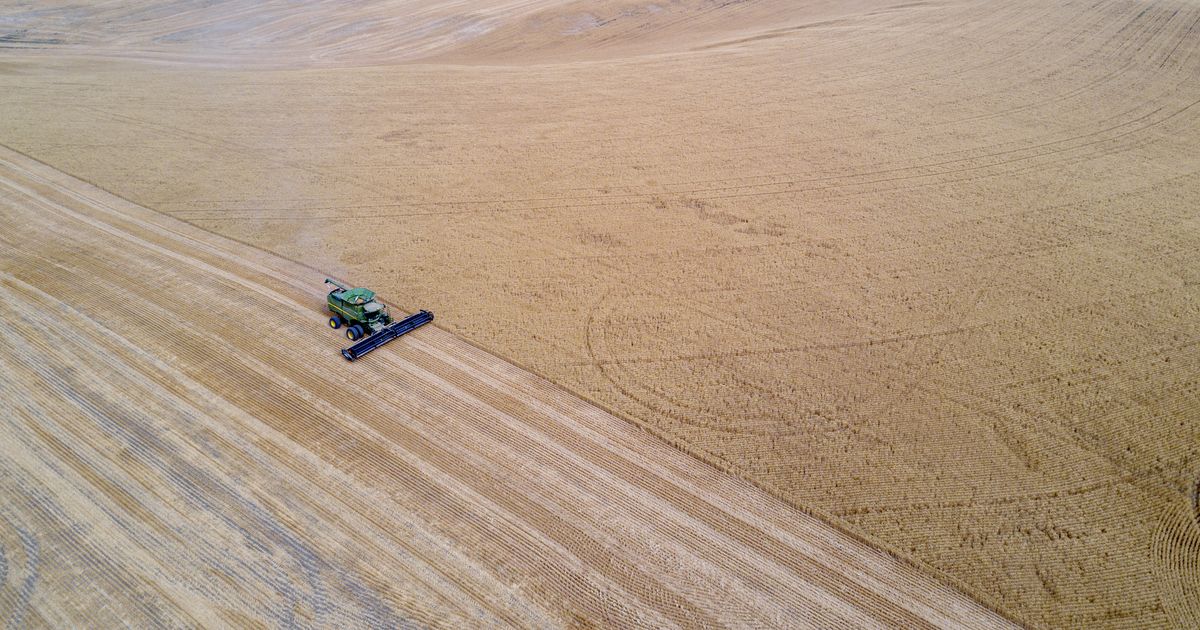 Farmers face financial strain; federal aid a ‘small bandage’