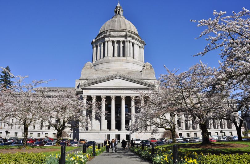 OLYMPIA -- The cherry blossoms are out and the daffodils are up on the Washington state Capitol Campus. (Jim Camden)