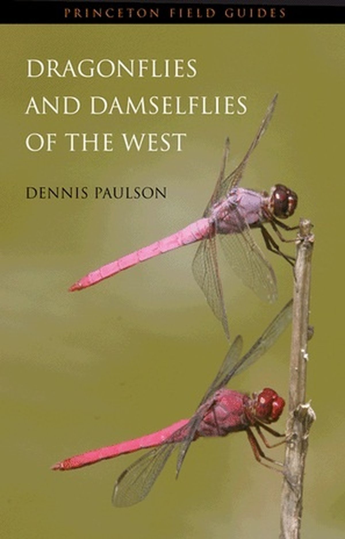 This field book by Dennis Paulson is the first fully illustrated field guide to all 348 species of dragonflies and damselflies in western North America. (Courtesy photo)