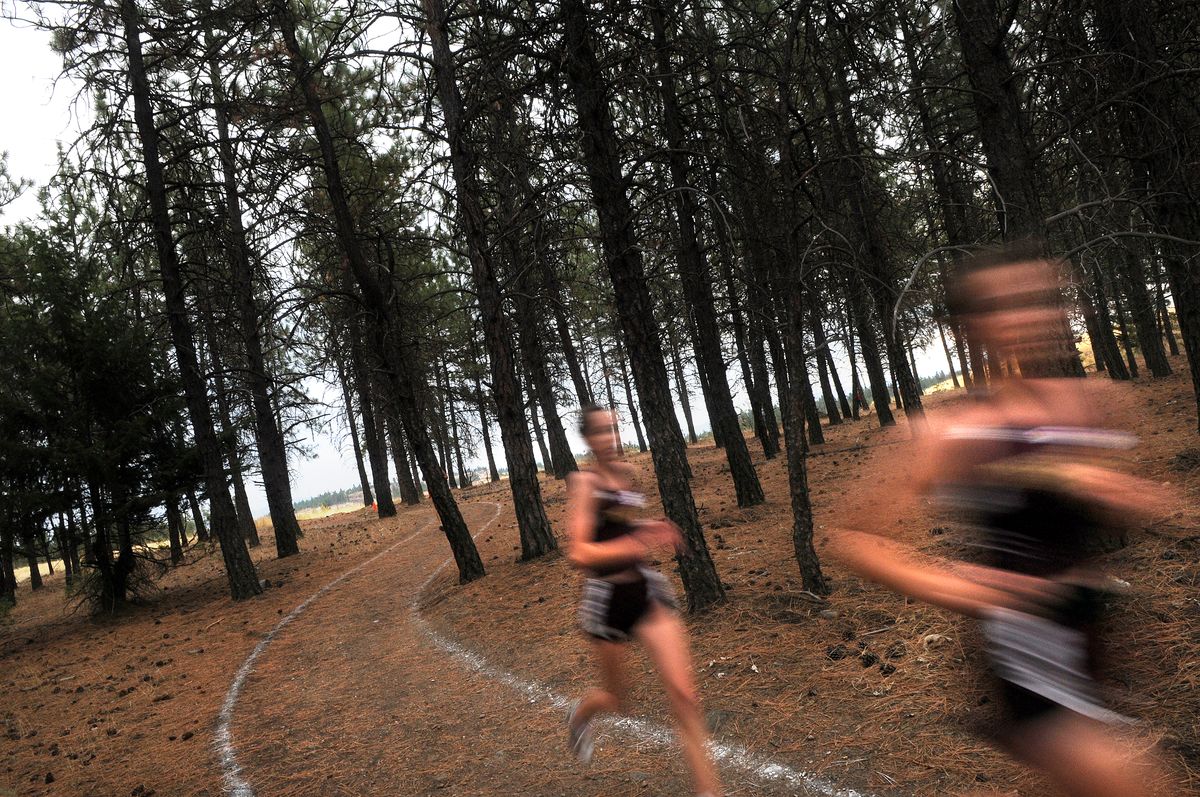 The Spokesman-Review Mead’s course offers a quick run through a scenic wooded area. (Rajah Bose / The Spokesman-Review)