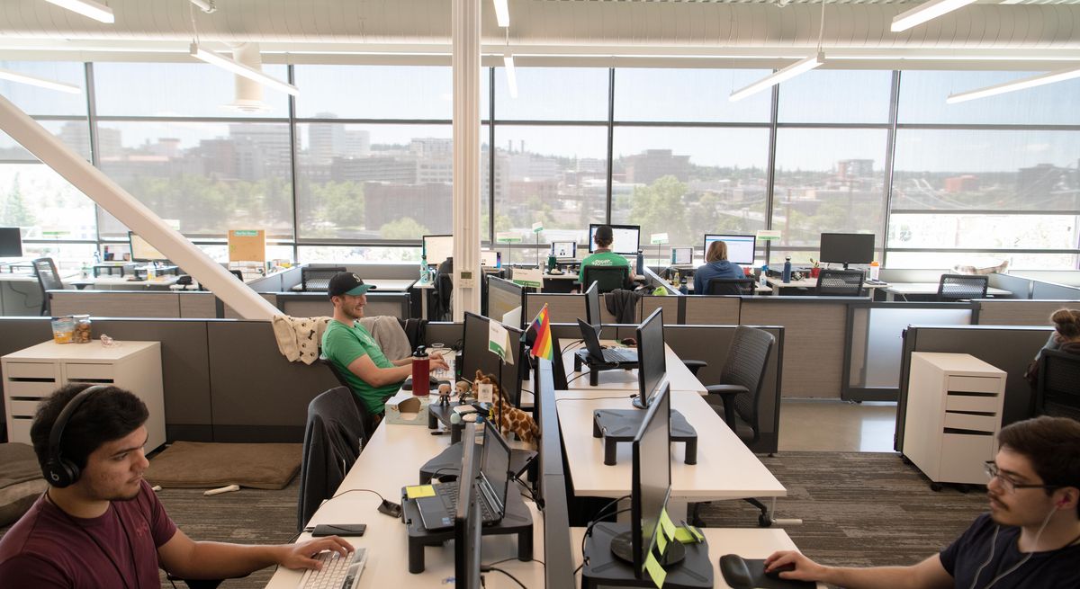 Employees work with a view of the downtown Spokane skyline in an office area not yet filled to capacity because Rover.com is still growing at its new Spokane offices at the top of the former bakery building at Lincoln Street and Broadway Wednesday, June 26, 2019. The internet-based pet services provider based in Seattle has grown rapidly in recent years. (Jesse Tinsley / The Spokesman-Review)