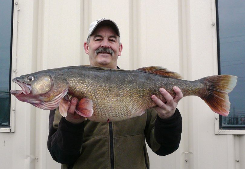 Pasco’s John Grubenhoff and his state record 20.32-pound walleye caught Feb. 28, 2014, in the Columbia River's McNary pool. (Washington Fish and Wildlife Department)