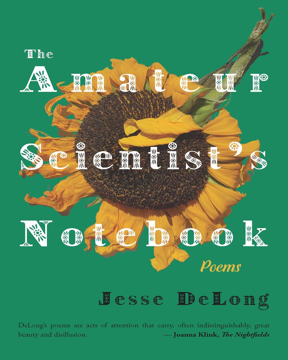 “The Amateur Scientist’s Notebook” by Jesse DeLong  (Courtesy)
