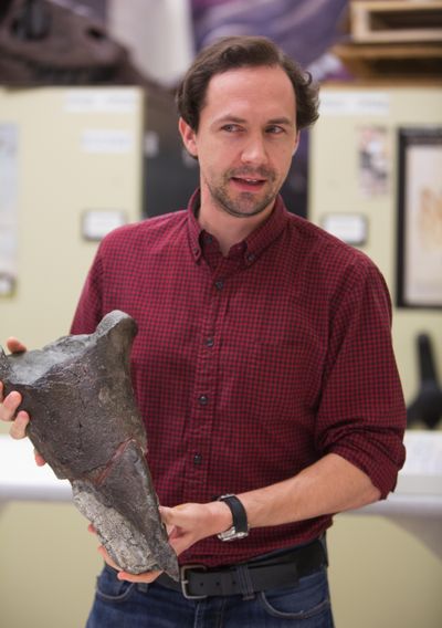 First dinosaur bone discovered in Washington | The Spokesman-Review