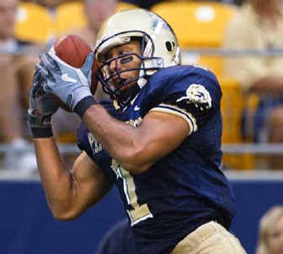
Larry Fitzgerald will be a key part of the Cardinals' offense and will complement offensive rookie of the year Anquan Bolden. 
 (Associated Press / The Spokesman-Review)