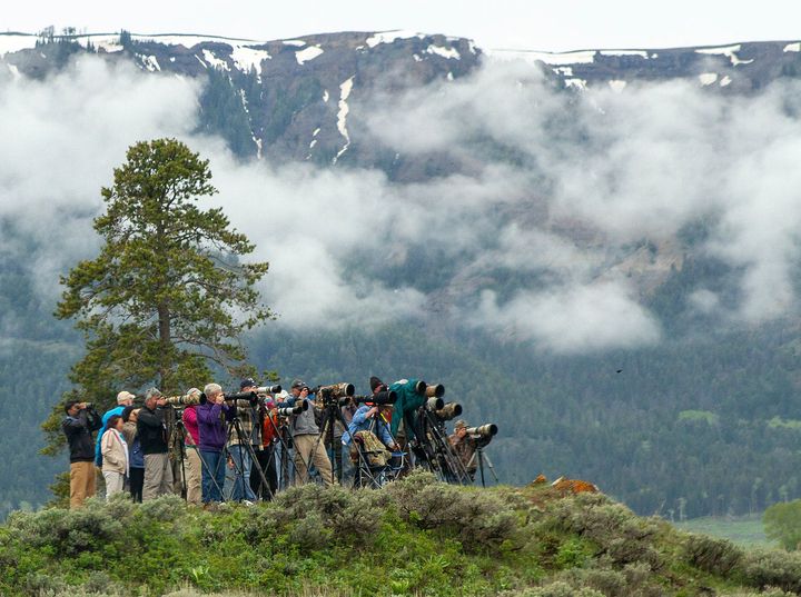 Yellowstone filmmakers weigh in on judge's ruling halting fees for