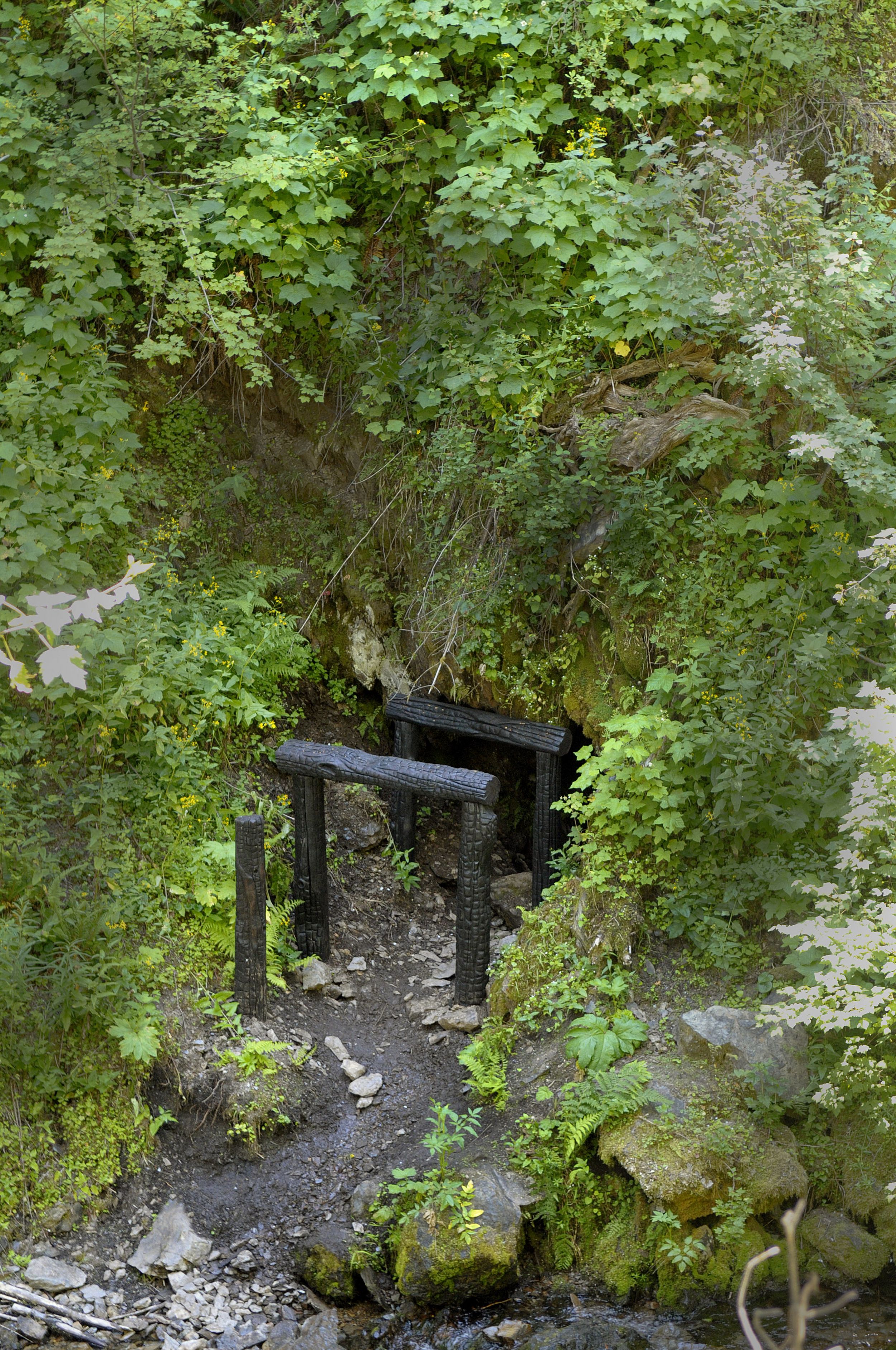 Pulaski S Heroism Resurfaced With Discovery Of Tunnel The Spokesman Review