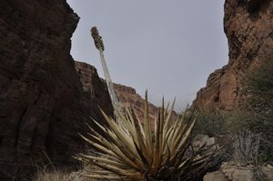 Grand Canyon in winter - Feb. 23, 2014 | The Spokesman-Review
