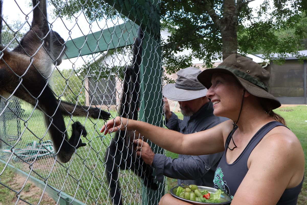 April Stewart and her husband, Todd Stewart, hang out with two spider monkeys at the sanctuary.  (Ed Noles)