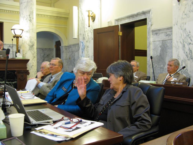 Rep. Shirley Ringo, D-Moscow, right, makes a point to Rep. Phylis King, D-Boise, left, as the Joint Finance-Appropriations Committee reviews agency budgets on Friday morning. (Betsy Russell)