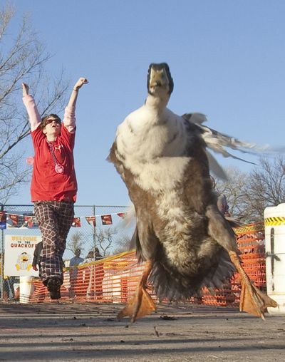 ORG XMIT: NENH102 Brandy Urbanec of Raymond, Neb., celebrates as her duck named Mama Donna crosses the finish line first to win the annual Quack-Off duck races in Avoca, Neb., Saturday, Jan. 31, 2009. The annual duck race, in it's 29th year, is held as a benefit for the local fire department.(AP Photo/Nati Harnik) (Nati Harnik / The Spokesman-Review)