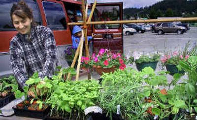 
Colleen Mooney tends to Solstice Farms booth at the market, selling plants. Her husband sells the family's organic plants at the Sandpoint market while she sells at Boundary County. 
 (Laura Crooks / The Spokesman-Review)