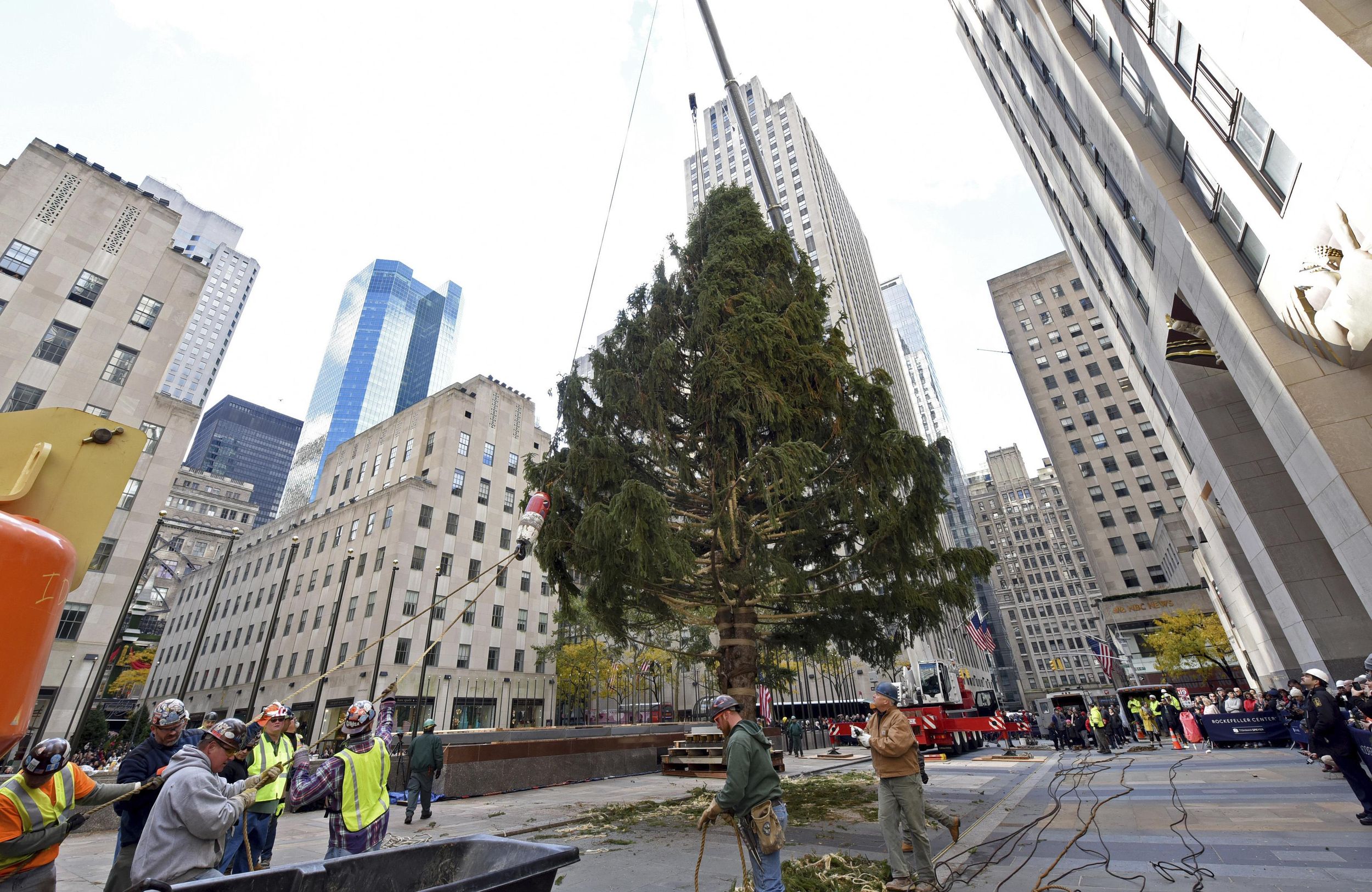 New York City’s Rockefeller Center Christmas tree goes up | The ...