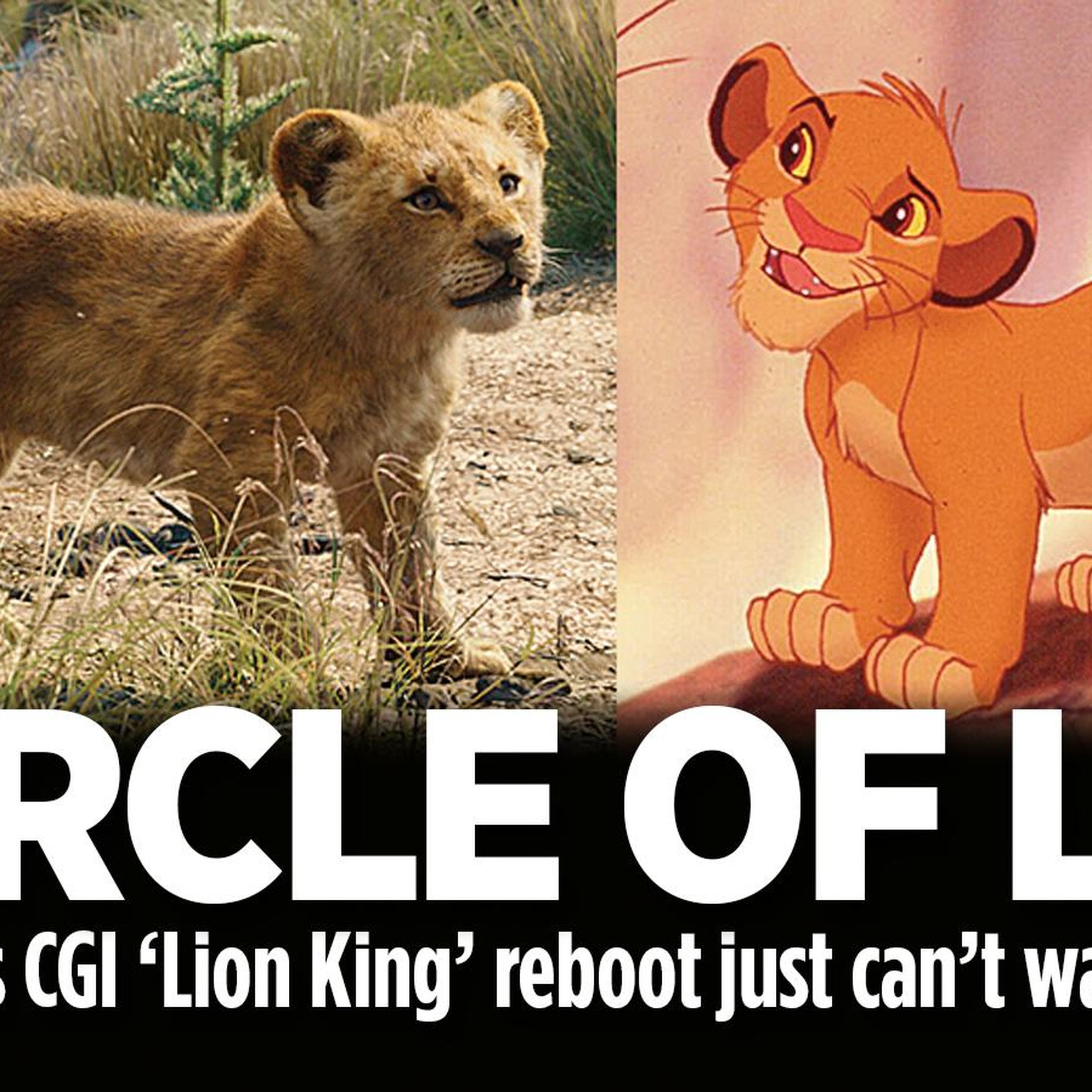 View topic - What Do You Think Really Killed Mufasa? — My Lion King Forum