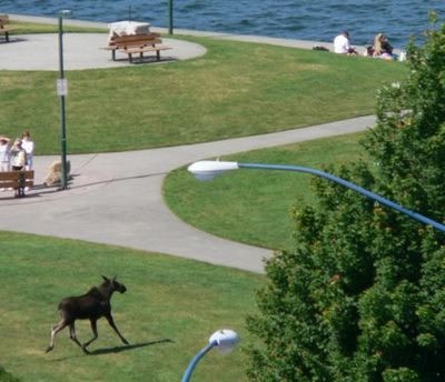  (The Spokesman-Review)