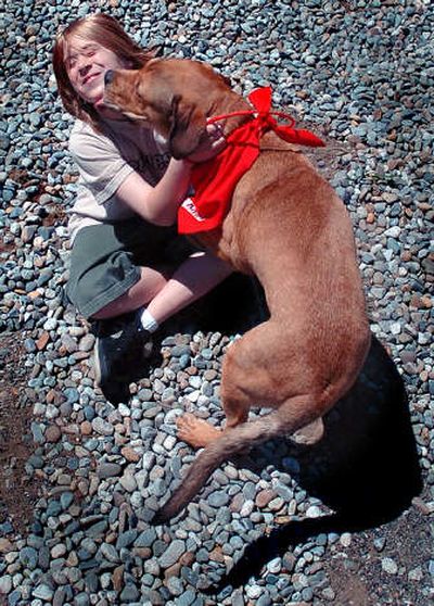 
Zachar McCollum, 10, plays with King at the Spokane Humane Society.  King is one of many dogs looking for a new home. 
 (Joe Barrentine / The Spokesman-Review)