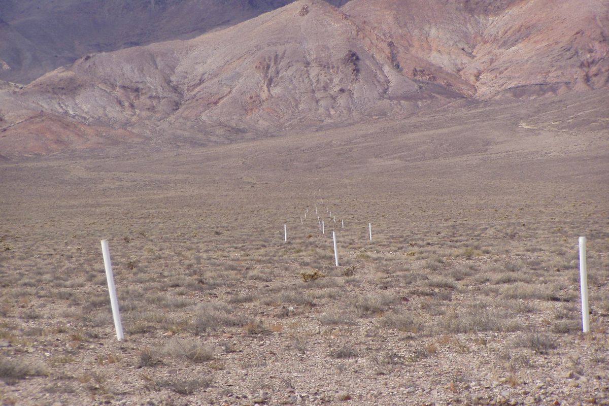 In this March 2009 photo, hollow white plastic mine claim markers extend far into the distance in the Monte Cristo Range in western Nevada. (Associated Press)