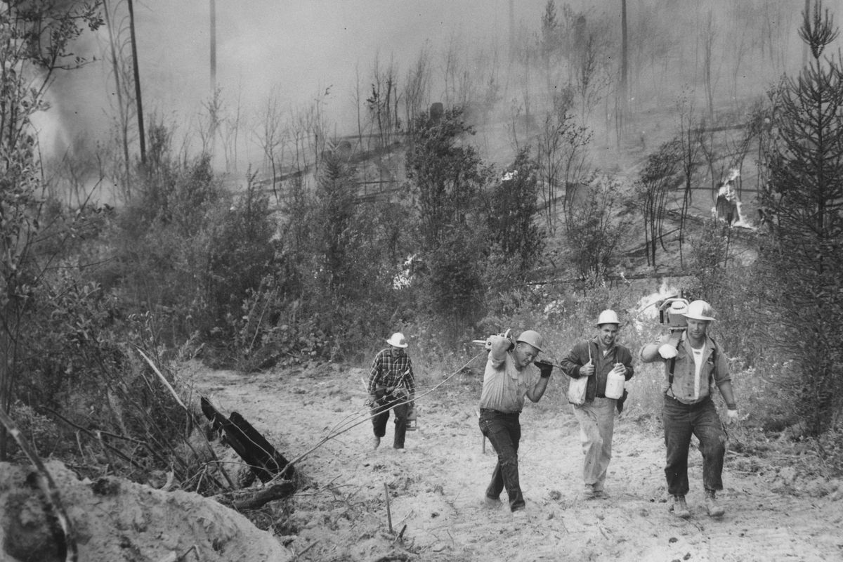 Augst 30, 1967. Fire fighters carry chain saws and supplies on the fire line of the 55,910-acre Sundance Mountain fire which burned west from Coolin to Bonners Ferry in Northern Idaho. Crewmen hauling supplies up a fire trail between Lee Creek and Lost Creek in the fire's early stages are (from left) Jim Blake, from Newport, and Dean Douglas, Alvin Coy and Darrel Wear, all from Priest River. (Photo Archive/The Spokesman-Review)