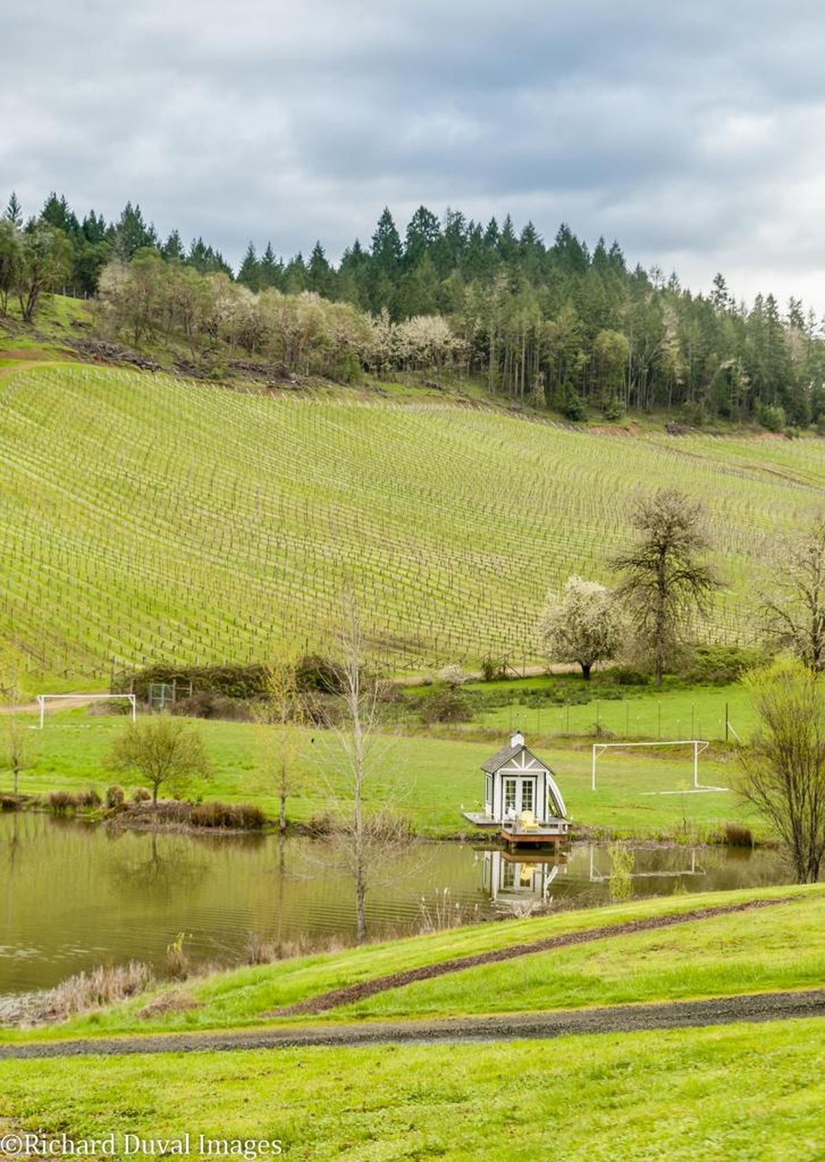 The Reustle family began planting Romancing Rock Vineyard in Oregon’s Umpqua Valley in 2002. (Richard Duval Images)