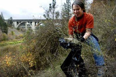 
Tamara Wittstruck of Spokane picks up trash along an incline between the Spokane River and High Bridge Park early Saturday morning. 
 (Holly Pickett / The Spokesman-Review)