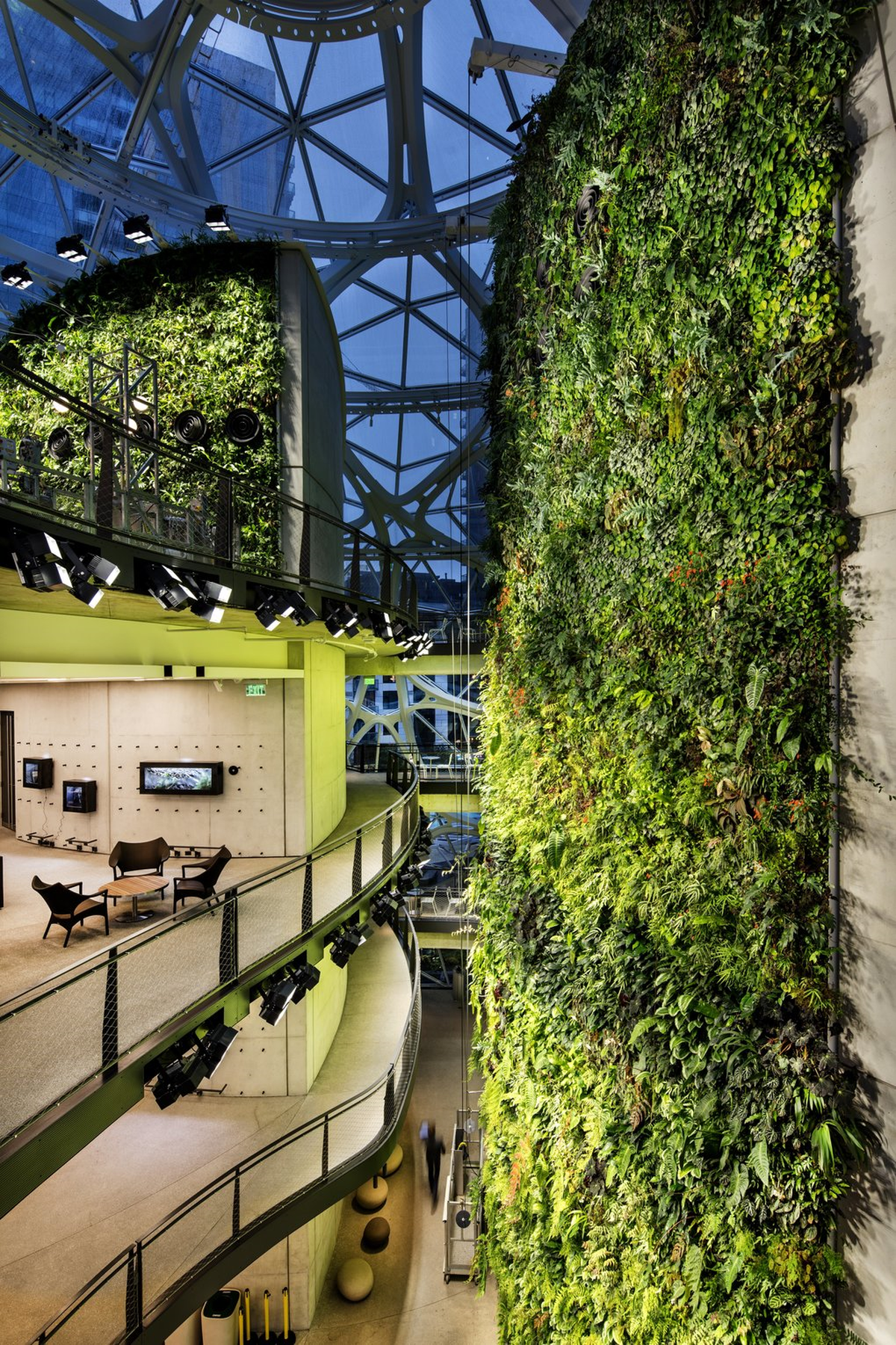 A living wall made up of 200 species comprising 25,000 plants grows in the Spheres. The orbs are kept at 72 degrees and 60 percent humidity during the day, and 55 degrees with 85 percent humidity at night. (Steve Ringman / Seattle Times)