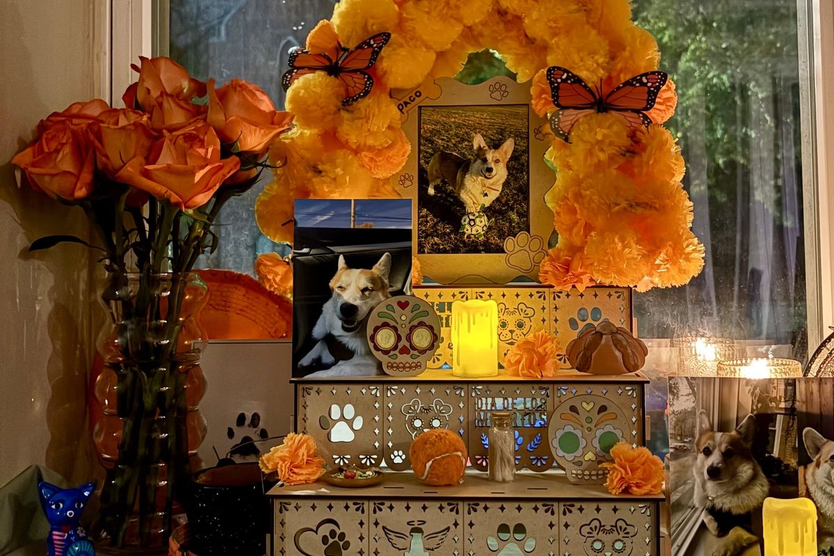 Noemi Gomez built an ofrenda in her Chicago apartment in honor of her corgi, Paco, who died in May. 