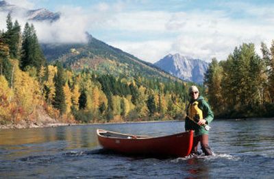 
Fall fishing on the Elk River in British Columbia, Canada, is a great experience with crisp autumn air and beautiful fall colors.
 (Photo by Duane Wiles / The Spokesman-Review)