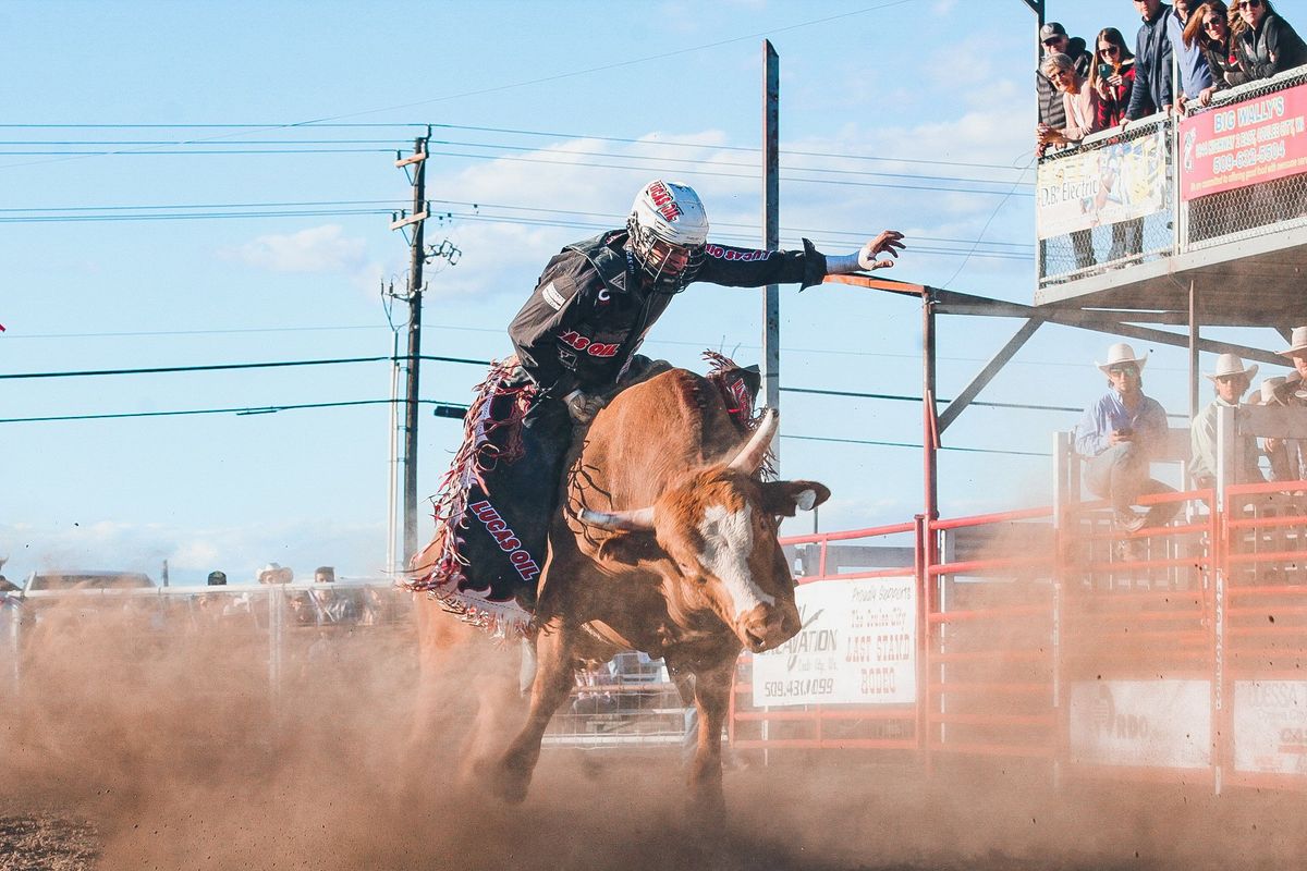 Shane Proctor PBR bullrider in 2023  Professional bull riders, Bull riders,  Cowboy up