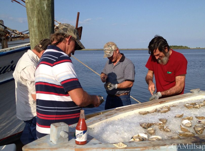 Oyster shuckers, Apalachicola, Florida (Cheryl-Anne Millsap / Photo by Cheryl-Anne Millsap)