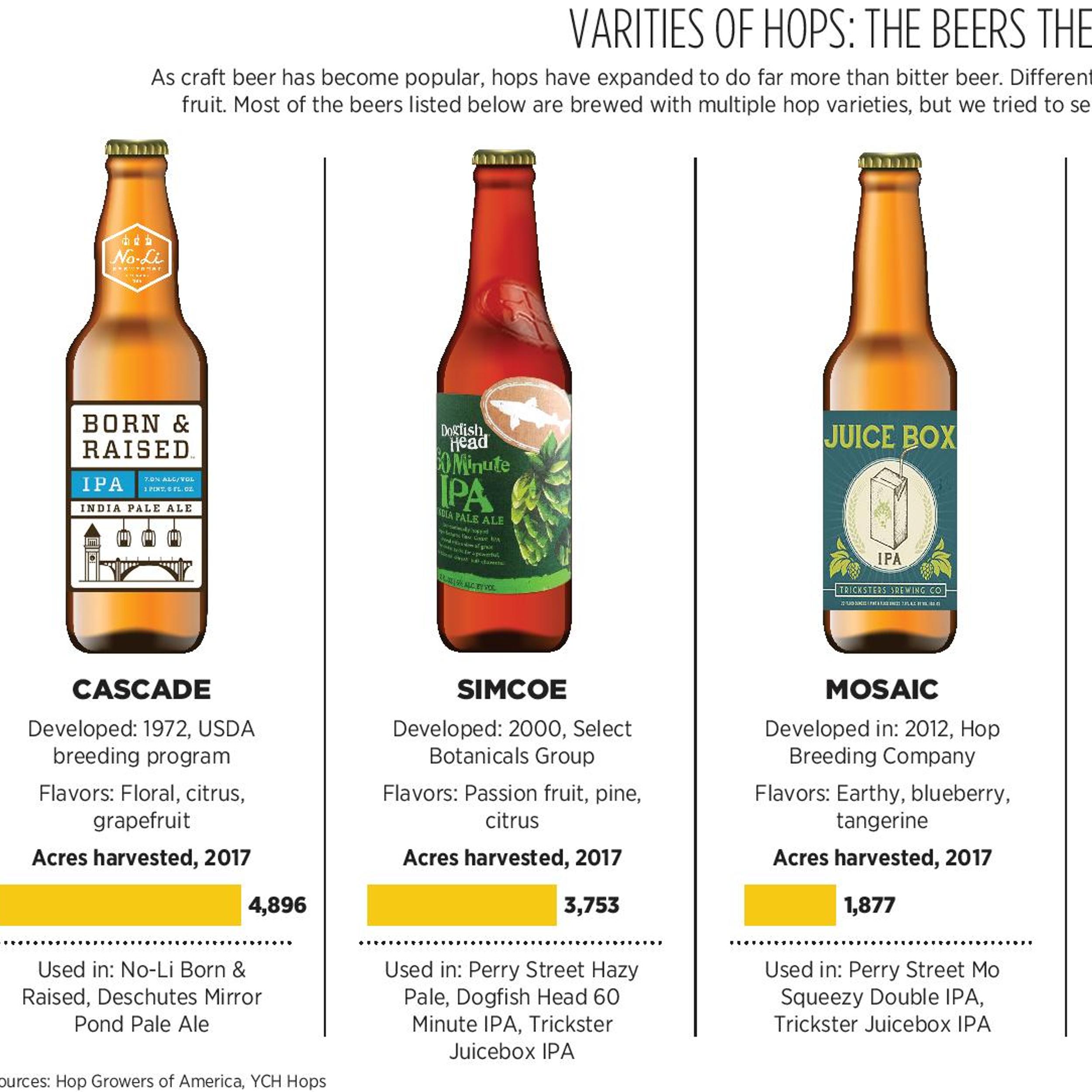 How To Identify Hop Varieties
