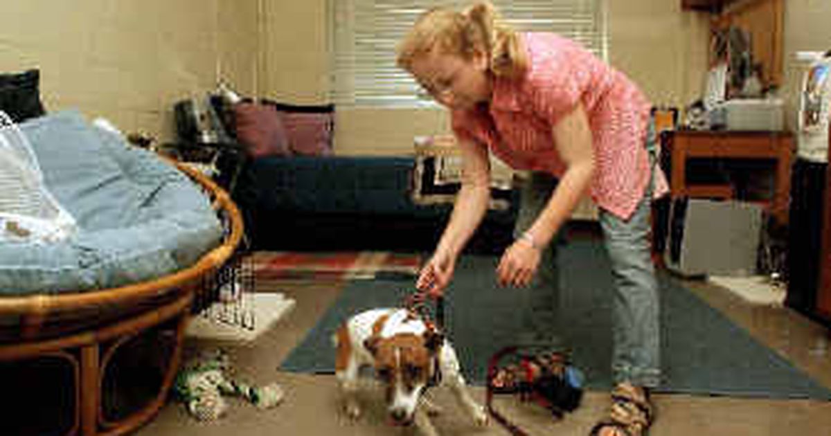 Some colleges allow pets in dorms The SpokesmanReview