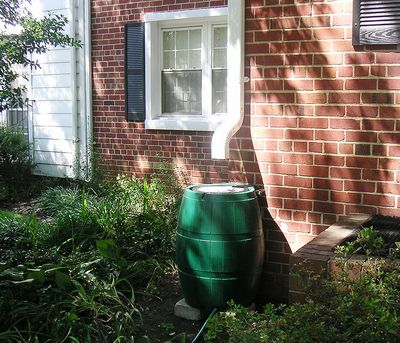 A rain barrel doesn't have to be something old and made of wood. Plastic barrels, provided they didn't previously house chemicals, can also do the job.  (Courtesy Flickr)