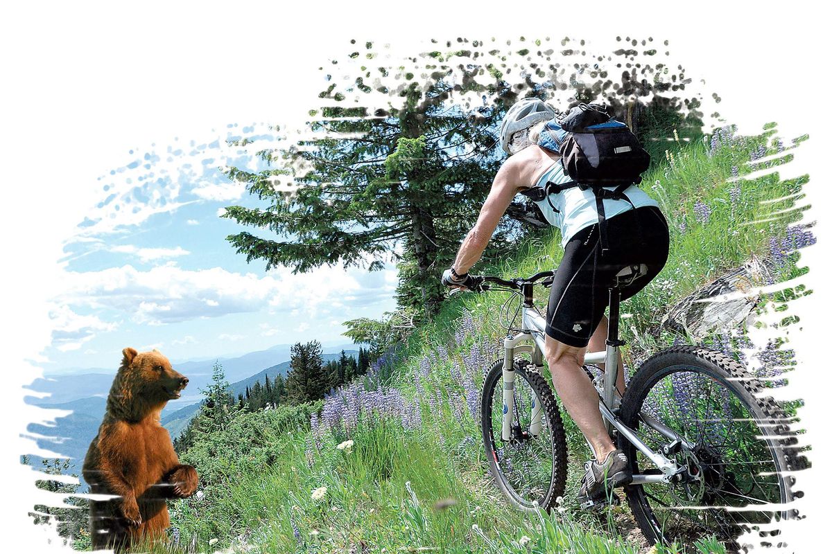 When encountering a chasing animal in the wilderness, running away is not the safe play. (Doug Kelley and Rich Landers / Photo Illustration)