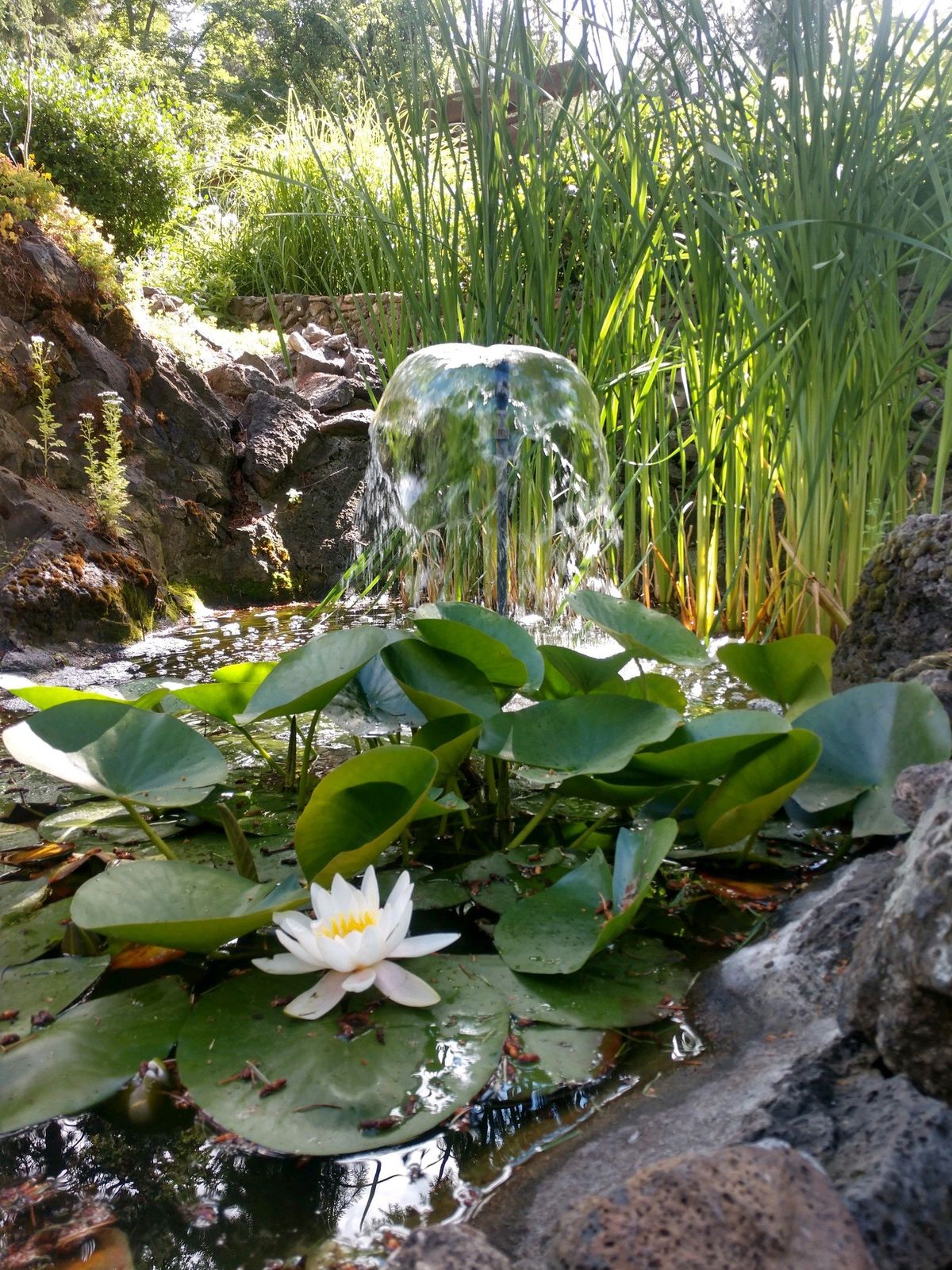 Brian and Patty Westmoreland’s garden at the Koerner house is part of the Spokane in Bloom Garden Tour.  (Courtesy)