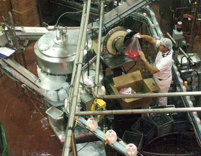 FILE – A Darigold worker adds lids to the the jug filler line at the Darigold plant in 1997. (Dan Pelle / The Spokesman-Review)